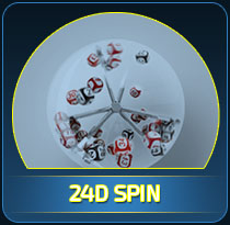 24D-spin